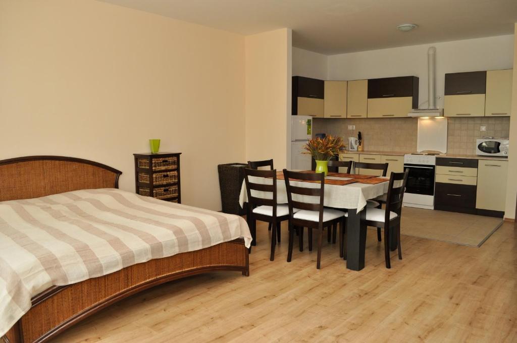 Tisza Palota Apartmanok Szeged Ruang foto
